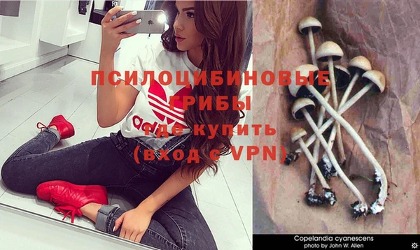 ПСИЛОЦИБИНОВЫЕ ГРИБЫ Новодвинск