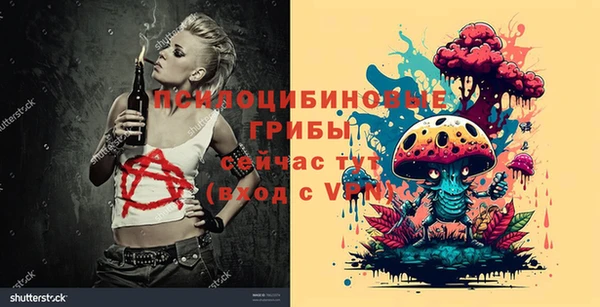ПСИЛОЦИБИНОВЫЕ ГРИБЫ Новодвинск