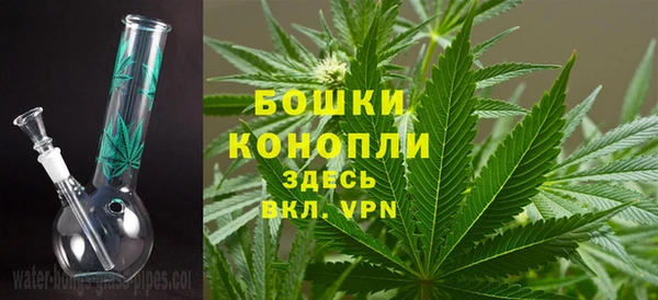 ПСИЛОЦИБИНОВЫЕ ГРИБЫ Новодвинск